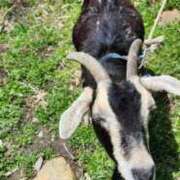 ヒメ日記 2025/06/19 05:16 投稿 えみ 熟女総本店 日本橋ミナミエリア店