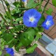 ヒメ日記 2025/07/01 11:56 投稿 えみ 熟女総本店 日本橋ミナミエリア店