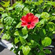 ヒメ日記 2025/07/21 18:41 投稿 えみ 熟女総本店 日本橋ミナミエリア店