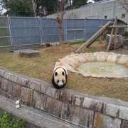 ヒメ日記 2025/08/15 05:16 投稿 えみ 熟女総本店 日本橋ミナミエリア店