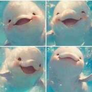 ヒメ日記 2025/09/04 05:26 投稿 えみ 熟女総本店 日本橋ミナミエリア店