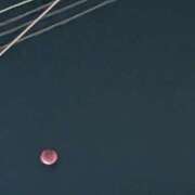 ヒメ日記 2025/09/08 02:46 投稿 えみ 熟女総本店 日本橋ミナミエリア店