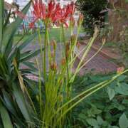 ヒメ日記 2025/09/22 17:06 投稿 えみ 熟女総本店 日本橋ミナミエリア店