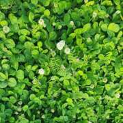 ヒメ日記 2025/09/29 06:26 投稿 えみ 熟女総本店 日本橋ミナミエリア店