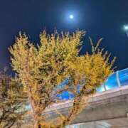 ヒメ日記 2025/10/06 21:46 投稿 えみ 熟女総本店 日本橋ミナミエリア店