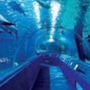 ヒメ日記 2025/11/09 13:16 投稿 えみ 熟女総本店 日本橋ミナミエリア店