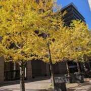 ヒメ日記 2025/11/17 05:16 投稿 えみ 熟女総本店 日本橋ミナミエリア店