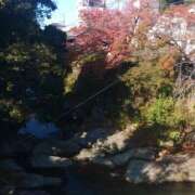 ヒメ日記 2025/11/17 14:16 投稿 えみ 熟女総本店 日本橋ミナミエリア店