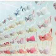 ヒメ日記 2026/02/12 19:46 投稿 えみ 熟女総本店 日本橋ミナミエリア店