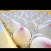 ヒメ日記 2026/02/23 05:06 投稿 えみ 熟女総本店 日本橋ミナミエリア店