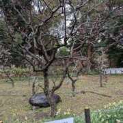 ヒメ日記 2026/02/25 13:56 投稿 えみ 熟女総本店 日本橋ミナミエリア店