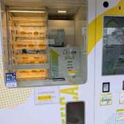 ヒメ日記 2026/03/15 16:56 投稿 えみ 熟女総本店 日本橋ミナミエリア店