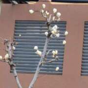 ヒメ日記 2026/03/18 05:06 投稿 えみ 熟女総本店 日本橋ミナミエリア店