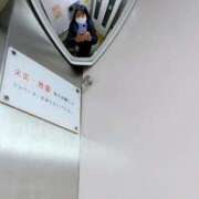 ヒメ日記 2026/03/22 05:26 投稿 えみ 熟女総本店 日本橋ミナミエリア店