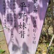 ヒメ日記 2026/03/24 21:10 投稿 えみ 熟女総本店 日本橋ミナミエリア店