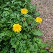 ヒメ日記 2026/03/29 17:16 投稿 えみ 熟女総本店 日本橋ミナミエリア店