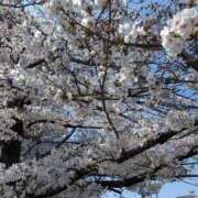 ヒメ日記 2026/04/03 14:16 投稿 えみ 熟女総本店 日本橋ミナミエリア店