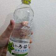 ヒメ日記 2026/04/06 05:16 投稿 えみ 熟女総本店 日本橋ミナミエリア店