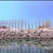 ヒメ日記 2026/04/06 15:17 投稿 えみ 熟女総本店 日本橋ミナミエリア店