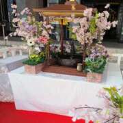 ヒメ日記 2026/04/08 15:26 投稿 えみ 熟女総本店 日本橋ミナミエリア店