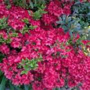 ヒメ日記 2026/04/09 19:26 投稿 えみ 熟女総本店 日本橋ミナミエリア店