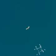 ヒメ日記 2025/07/02 23:31 投稿 牧かんな ABC 岩手ソープ