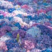 ヒメ日記 2025/08/14 10:01 投稿 牧かんな ABC 岩手ソープ