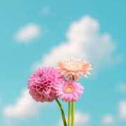 ヒメ日記 2025/08/15 05:01 投稿 牧かんな ABC 岩手ソープ