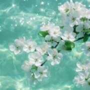 ヒメ日記 2025/08/27 05:01 投稿 牧かんな ABC 岩手ソープ