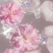 ヒメ日記 2025/09/12 06:01 投稿 牧かんな ABC 岩手ソープ