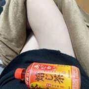 ヒメ日記 2025/12/31 14:22 投稿 まゆ ちゃんこ藤沢茅ヶ崎店