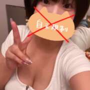 ヒメ日記 2025/09/23 08:01 投稿 オト COCOMERO（ココメロ）