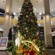 ヒメ日記 2025/12/08 06:31 投稿 オト COCOMERO（ココメロ）