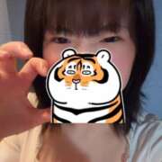 ヒメ日記 2026/06/25 06:46 投稿 オト COCOMERO（ココメロ）