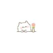 ヒメ日記 2026/05/31 12:22 投稿 白那-しろな- 人妻倶楽部 花椿大崎店