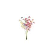 ヒメ日記 2026/07/02 00:05 投稿 白那-しろな- 人妻倶楽部 花椿大崎店