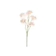 ヒメ日記 2026/07/07 11:17 投稿 白那-しろな- 人妻倶楽部 花椿大崎店