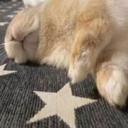 うさみ 体調不良(||´Д｀)ｏ ぷるるん小町日本橋店