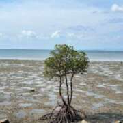 ヒメ日記 2025/06/12 10:18 投稿 後藤あこ 五十路マダムエクスプレス横浜店（カサブランカグループ）