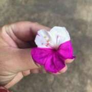 ヒメ日記 2025/08/01 09:58 投稿 後藤あこ 五十路マダムエクスプレス横浜店（カサブランカグループ）