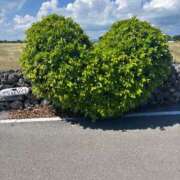 ヒメ日記 2025/10/29 10:14 投稿 後藤あこ 五十路マダムエクスプレス横浜店（カサブランカグループ）