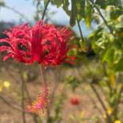 ヒメ日記 2025/10/31 09:56 投稿 後藤あこ 五十路マダムエクスプレス横浜店（カサブランカグループ）