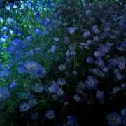 ヒメ日記 2025/07/03 20:47 投稿 麗奈 京都BOOK MARK（ブックマーク）