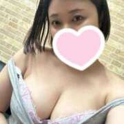 ヒメ日記 2025/06/05 00:52 投稿 ゆりあ 白いぽっちゃりさん