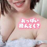 ヒメ日記 2025/11/10 14:45 投稿 ゆりあ 白いぽっちゃりさん