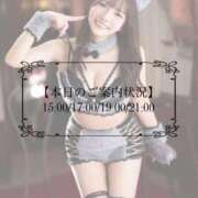 ヒメ日記 2026/04/03 07:45 投稿 ひめの ムーランルージュ