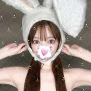 ヒメ日記 2026/08/08 00:53 投稿 るい TOKYO BUNNYS CLUB