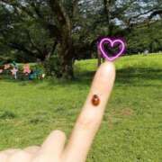 ヒメ日記 2025/06/09 06:17 投稿 綾瀬　おとは YOKOHAMA FIVESTAR（横浜ファイブスター）