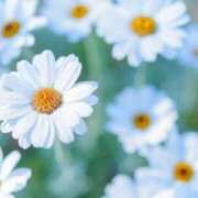 ヒメ日記 2025/06/22 14:05 投稿 綾瀬　おとは YOKOHAMA FIVESTAR（横浜ファイブスター）