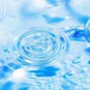 ヒメ日記 2025/06/24 07:41 投稿 綾瀬　おとは YOKOHAMA FIVESTAR（横浜ファイブスター）